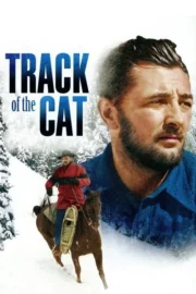 Kedinin İzinde – Track of the Cat 1954 izle