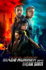 Bıçak Sırtı 2 izle