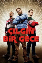 Çılgın Bir Gece (2015) izle
